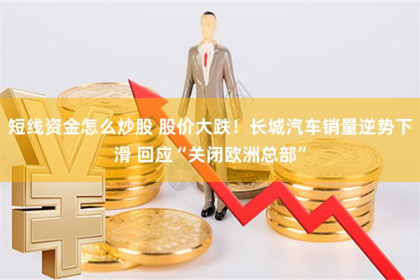 短线资金怎么炒股 股价大跌！长城汽车销量逆势下滑 回应“关闭欧洲总部”