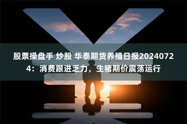 股票操盘手 炒股 华泰期货养殖日报20240724：消费跟进乏力，生猪期价震荡运行